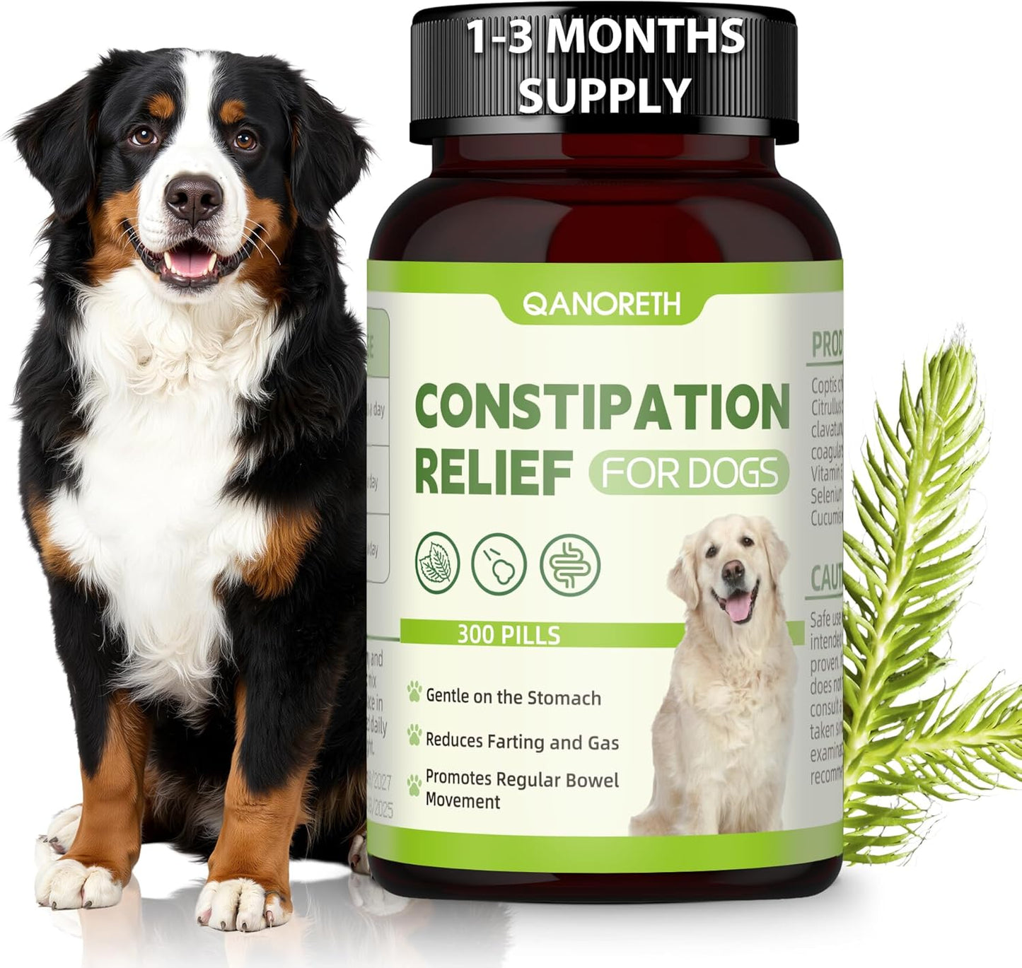 Dog Constipation Relief, Dog Laxative andDog Stool Softener – Herbal and Probiotic Supplement for Constipation Relief forDogs, DogGas Relief – Supports Digestion, Comfort, and Regular Poops