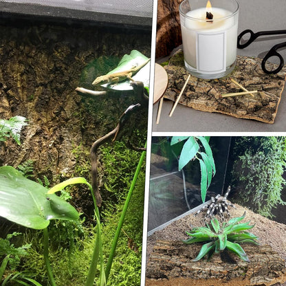 4Pcs Reptile Bark Decor Wood, Natural Cork Bark Tube Decor, Wood Bark Terrarium for Reptiles, Random Shape Random Size