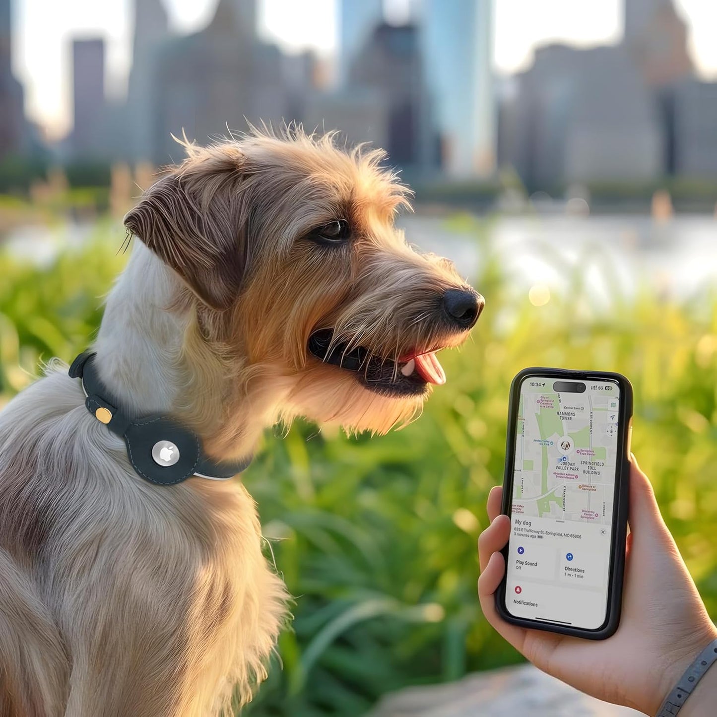 OOPSDOGGY Rolled Leather Dog Collar with Airtag Holder - Reflective Round Airtag Dog Collar - Soft Tracking Pet Collar for Small Dogs Puppy Cats Kitten (Black, S, 10"-13")