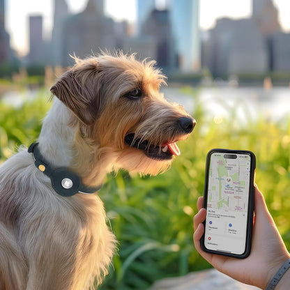 OOPSDOGGY Rolled Leather Dog Collar with Airtag Holder - Reflective Round Airtag Dog Collar - Soft Tracking Pet Collar for Small Dogs Puppy Cats Kitten (Black, S, 10"-13")