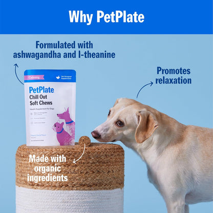 PetPlate Chill Out Soft Chews, Calming and Relaxation Support Supplement for Dogs, Organic and Human-Grade Ingredients, Includes Ashwagandha & L-theanine, Pet Supplies (Pack of 1, 9.8 Ounce)