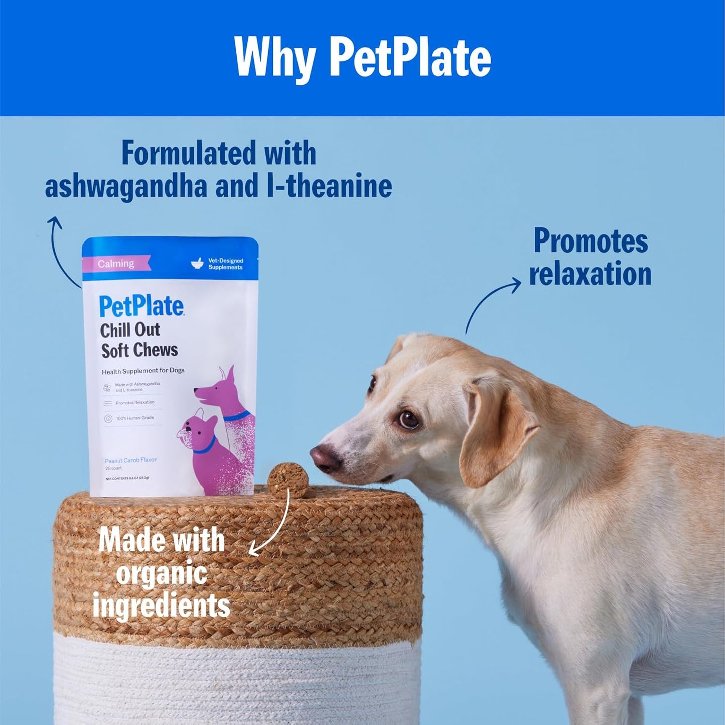 PetPlate Chill Out Soft Chews, Calming and Relaxation Support Supplement for Dogs, Organic and Human-Grade Ingredients, Includes Ashwagandha & L-theanine, Pet Supplies (Pack of 1, 9.8 Ounce)