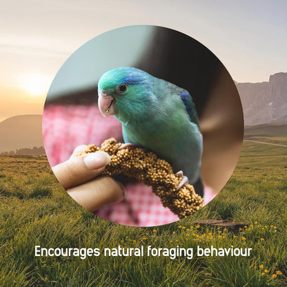 Living World – Millet Spray for Birds, 17.6 Oz – Premium Treat for Budgies, Canaries, Finches, Cockatiels and Other Pet Birds