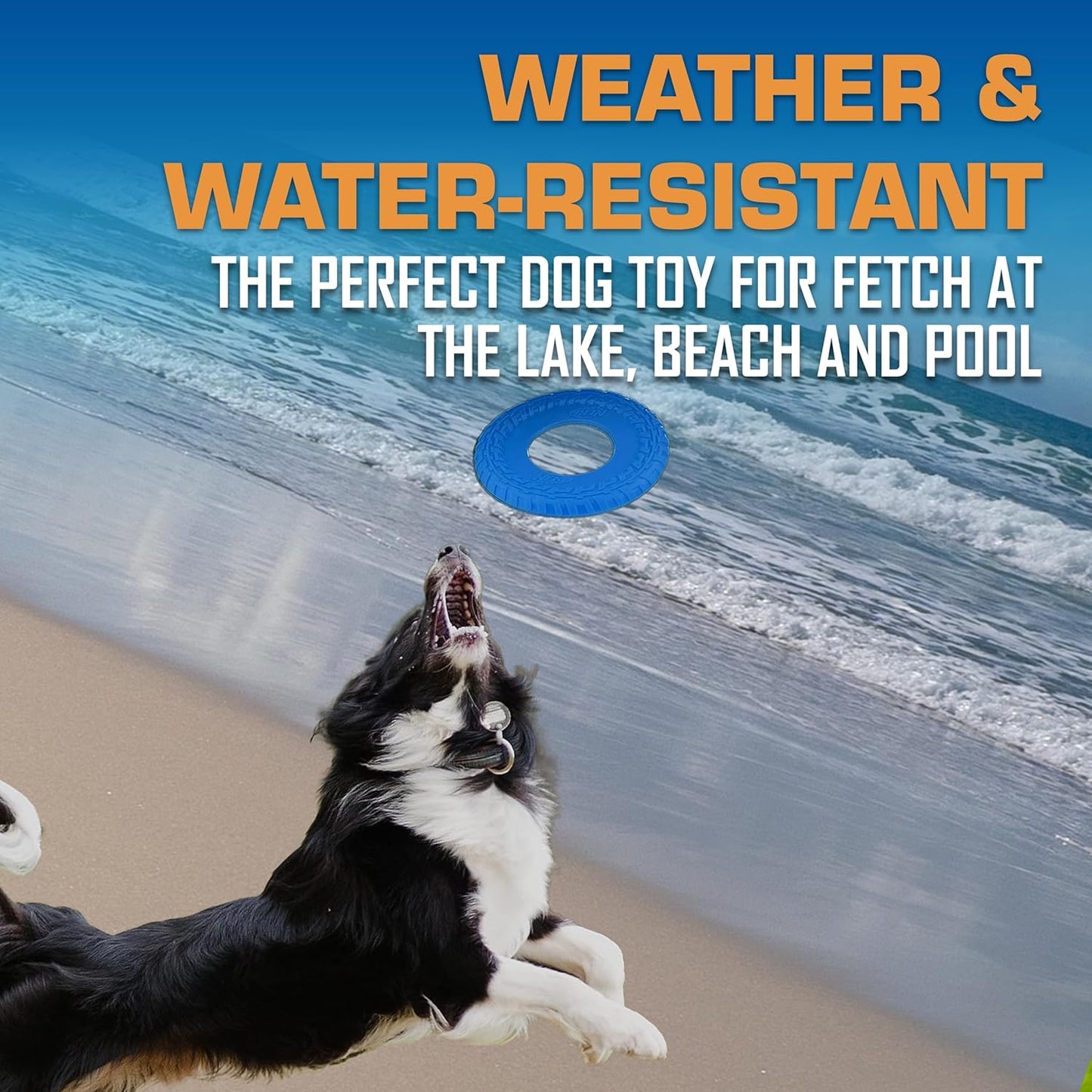 Nerf Dog Tire Flyer Outdoor Dog Toy, 10 Inch Flying Disc Dog Fetch Toy, Rubber Dog Toy for Medium Dogs and Large Dogs, Blue (Pack of 2)