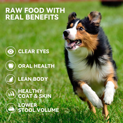 OPET Freeze Dried Cat & Dog Treats,Single Ingredient High Protein Grain Free Crunchy Cat Treats,Healthy Training Treats (4 Pack, Duck & Pork)