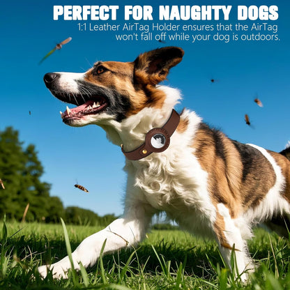 AirTag Dog Collar - Genuine Heavy Duty Leather Dog Collar with Apple AirTag Holder, Suitable for Small Medium Large Dogs (Brown, M, 13.6"-17.6" Neck Fit)