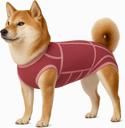 Dog Surgery Recovery Suit for Medium Dogs – Soft Cotton-Spandex Post-Surgery Bodysuit with Snap Buttons – Includes Chew Toy, Hygiene Sticker & Zip Bag – Cone Alternative for Medium Breeds