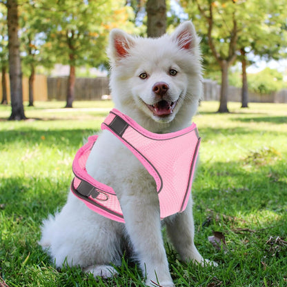 Beaupretty Breathable Reflective Dog Harness and Leash for Comfortable Walking Tear-Resistant Mesh Vest with Skin-Friendly Fabric Portable Safety Gear for Labradors Dachshunds and Household