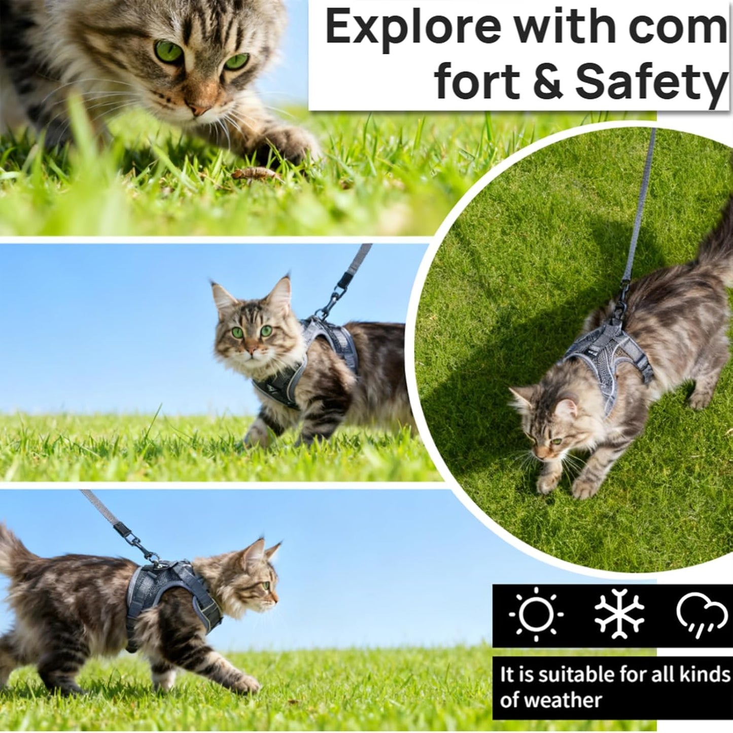 Cat Chest Straps and Belts, Anti-Escape Adjustable Soft net cat Belts, Easy to Control, Breathable, Chest Straps Set for All Types of cat Vests，XL