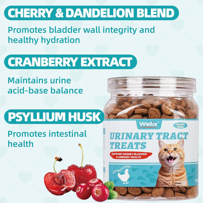 Wellix 13.5oz Urinary Tract Health Supplement Cat Treats for Indoor Cats - Chicken Flavor Kitten Snacks for Support Kidney Bladder & Urinary Health Cat Training Biscuits - Add Dandelion & Cranberry
