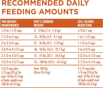 Purina ONE Plus Healthy Weight High-Protein Dog Food Dry Formula - 16.5 lb. Bag