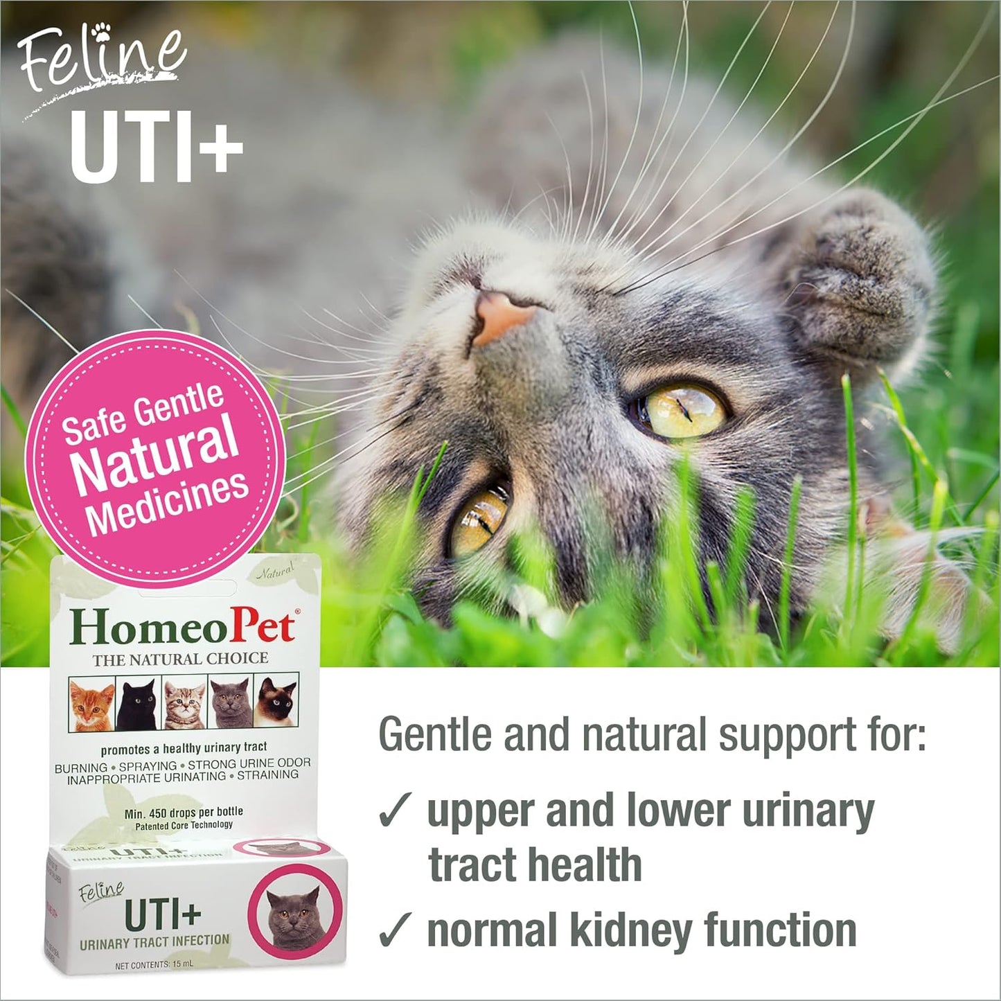 HomeoPet Feline UTI Plus, Safe and Natural Urinary Tract Supplement for Cats, Feline Urinary Tract Support, 15 Milliliters