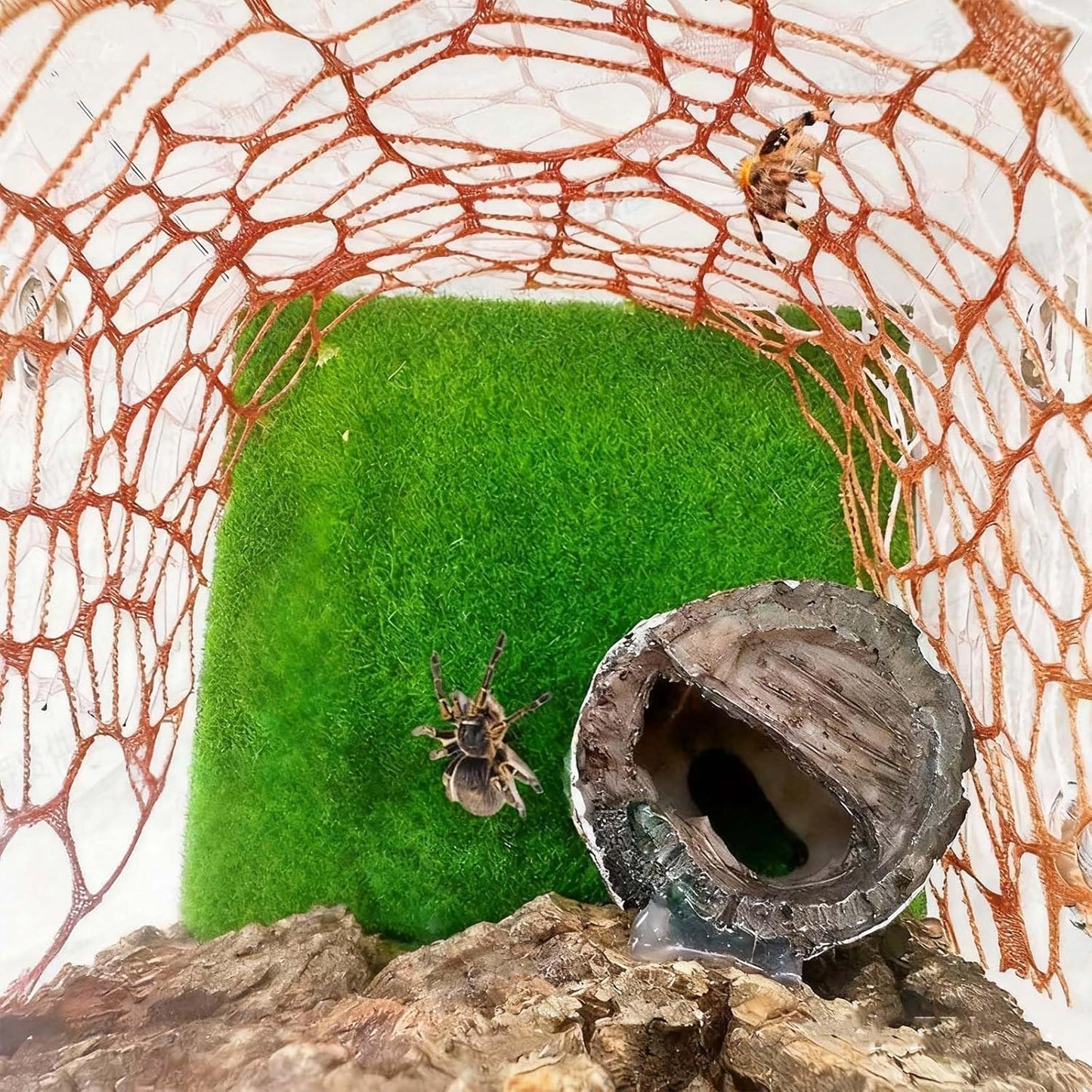 Jumping Spider Enclosure Accessories - Shelter and 2 Webbed Moss Ribbon | Tarantulas, Geckos Habitat Decor with Magnets for Small Reptiles, Cave, Hide, Climbing (Steel Hemisphere)