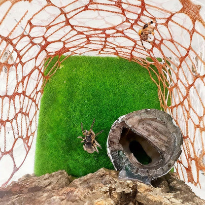 Jumping Spider Enclosure Accessories - Shelter and 2 Webbed Moss Ribbon | Tarantulas, Geckos Habitat Decor with Magnets for Small Reptiles, Cave, Hide, Climbing (Steel Hemisphere)