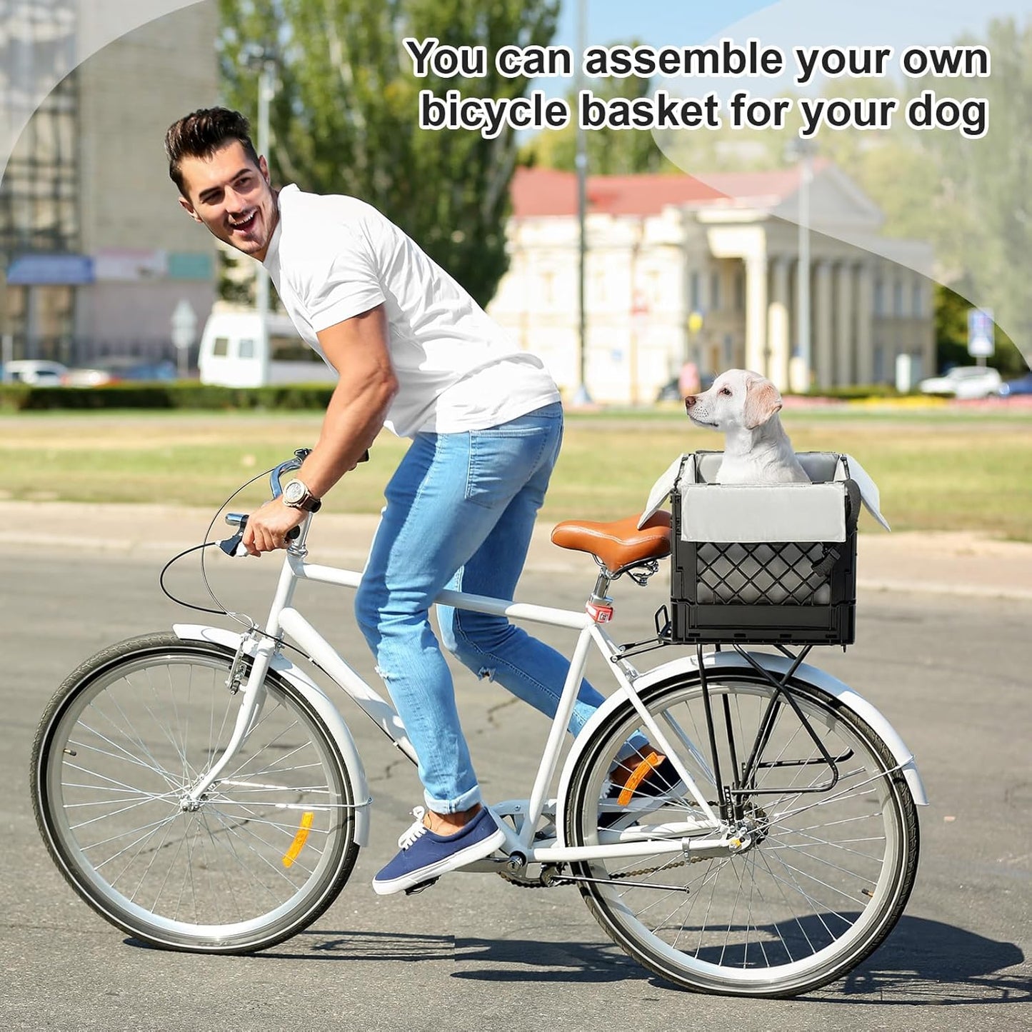 Secure Rear Dog Bike Basket Carrier for Small Dogs up to 15 Lbs, Easy No-Tool Installation with Straps, Waterproof & Comfortable Pet Seat for Most Bicycles