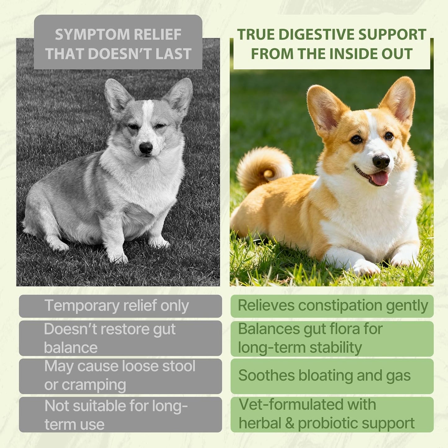 Dog Constipation Relief, Dog Laxative andDog Stool Softener – Herbal and Probiotic Supplement for Constipation Relief forDogs, DogGas Relief – Supports Digestion, Comfort, and Regular Poops