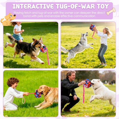 Snuffle Ball with Bungee Tug, Tug of War Rope Toys for Small Medium Dogs, Interactive Dog Toys Puppy Training Pull Toy for Exercise & Interactive Play Games (Light Pink)