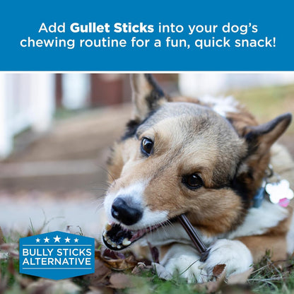 Best Bully Sticks 6 Inch Gullet Sticks - 25 Count (Pack of 1) - Natural, Thin, Hollow Esophagus Snack, Rawhide Alternative