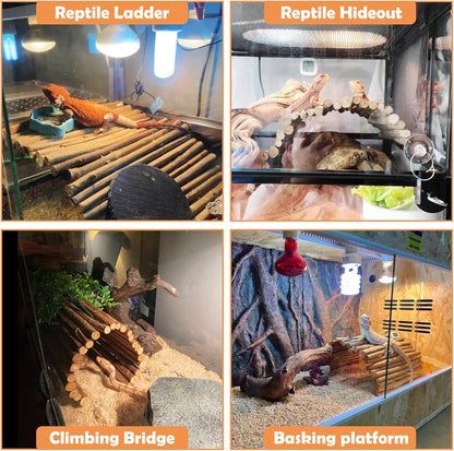 Hamiledyi Extra Large Tortoise Hide Reptile Hiding Cave Turtle Hut and Reptile Hideouts Natural Coconut Shells Hut Hermit Crab Climbing Toys for Spider Snake Chameleon