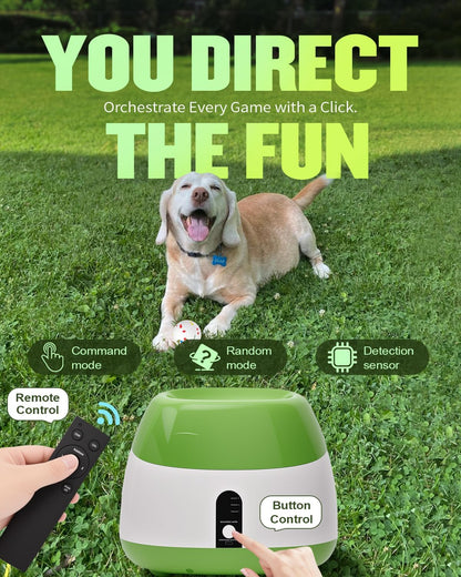 Automatic Ball Thrower for Dogs, Ball Launcher for Dogs - 2.5" Dog Balls * 6Pack (Green)