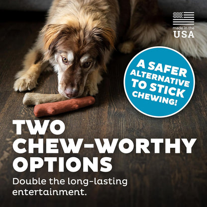 Outward Hound Dogwood Durable Dog Chew Toys, Real Wood & Mesquite, 2-Pack, Medium