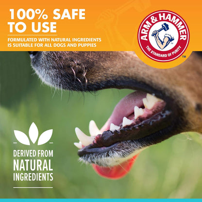 Arm & Hammer for Pets Clinical Care Dental Enzymatic Toothpaste for Dogs Soothes Inflamed Gums Safe for Puppies 1 Pack Fresh Breath Vanilla Ginger (Pack of 1)