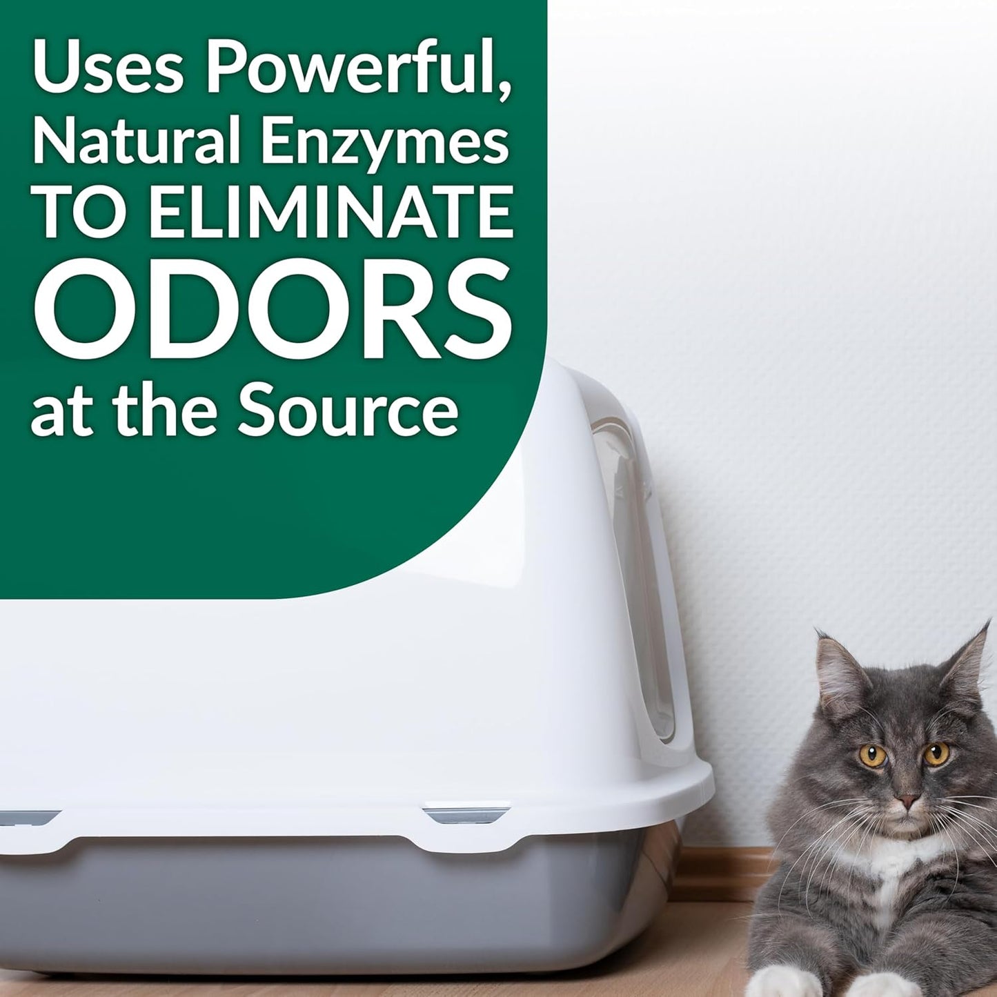 Cat Stain & Odor Remover - Enzyme Cleaner for Cat Urine, Feces, Blood, Vomit - 32oz