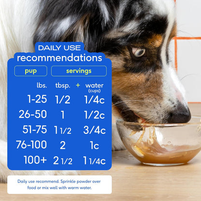 Native Pet Full-Body Wellness Duo: Turkey Bone Broth Powder for Dogs (192 Scoops) & Daily Dog Multivitamin (120 Scoops) - Daily 11-in-1 Multivitamin and Pet Gravy Food Topper for Picky Eaters