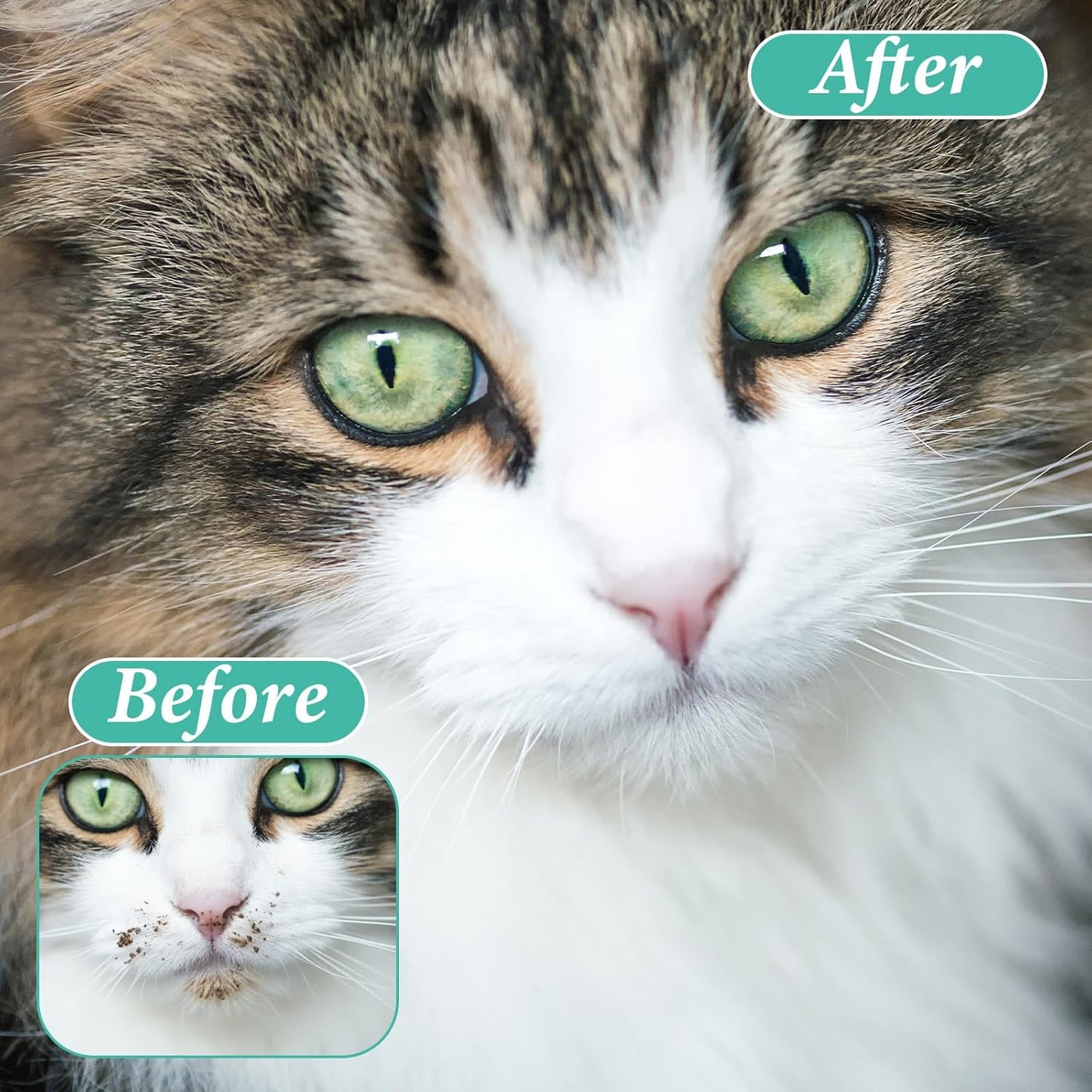 4PCS Cat Chin Acne Brush,Black Seed Soft Silicone Cat Acne Chin Scrubber, Cats Chins Cleaner Acnes Chins Treatment, Cats Brush for Feline Blackhead Removal (Pink & Green)