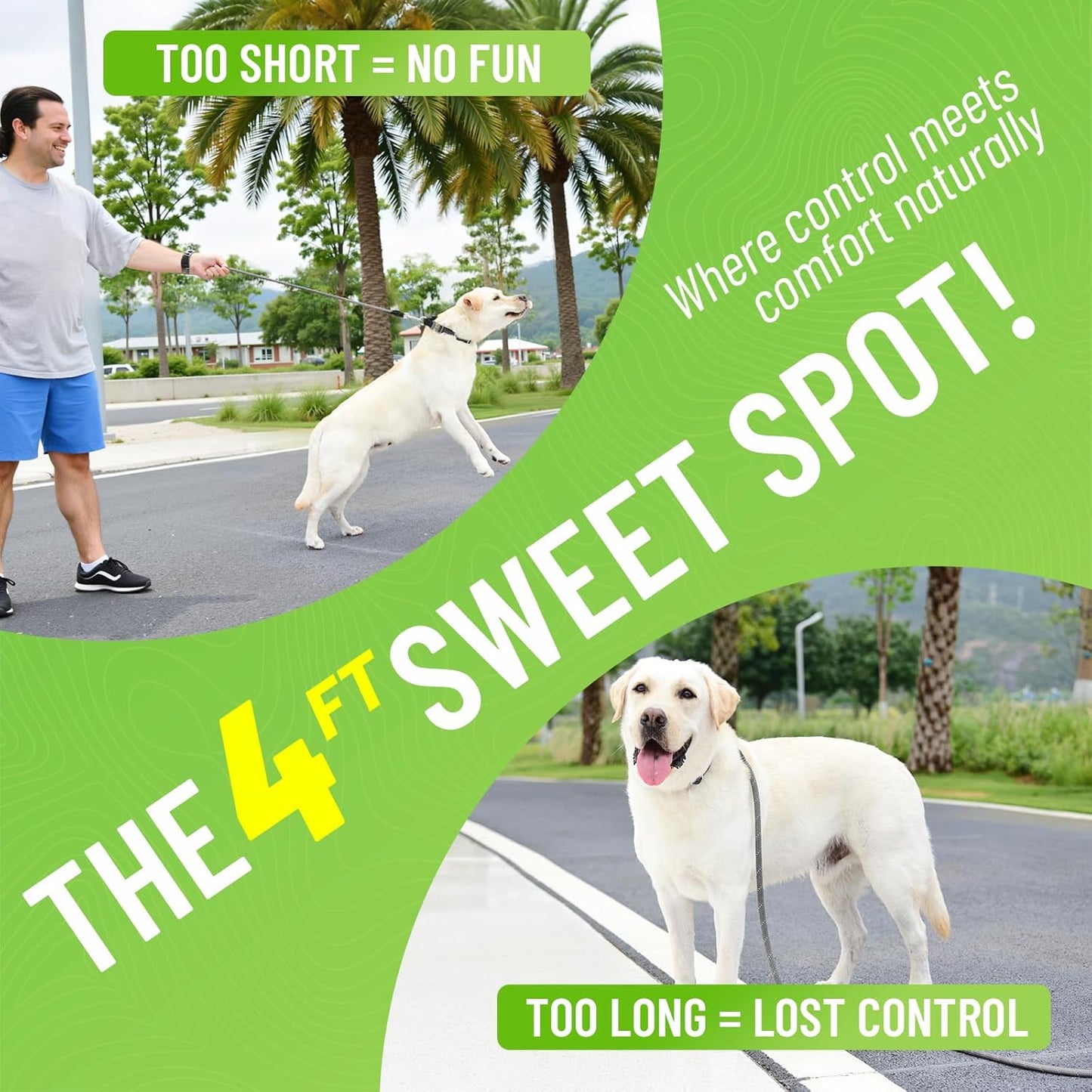 Black Heavy Duty Reflective Nylon Dog Leash with 200kg Pull Control, Padded No-Slip Handle & Zinc Alloy Lock for Medium to Large Dogs & Large Breeds, Ideal for Night Walking & Daily Training