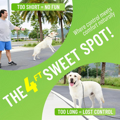 Black Heavy Duty Reflective Nylon Dog Leash with 200kg Pull Control, Padded No-Slip Handle & Zinc Alloy Lock for Medium to Large Dogs & Large Breeds, Ideal for Night Walking & Daily Training