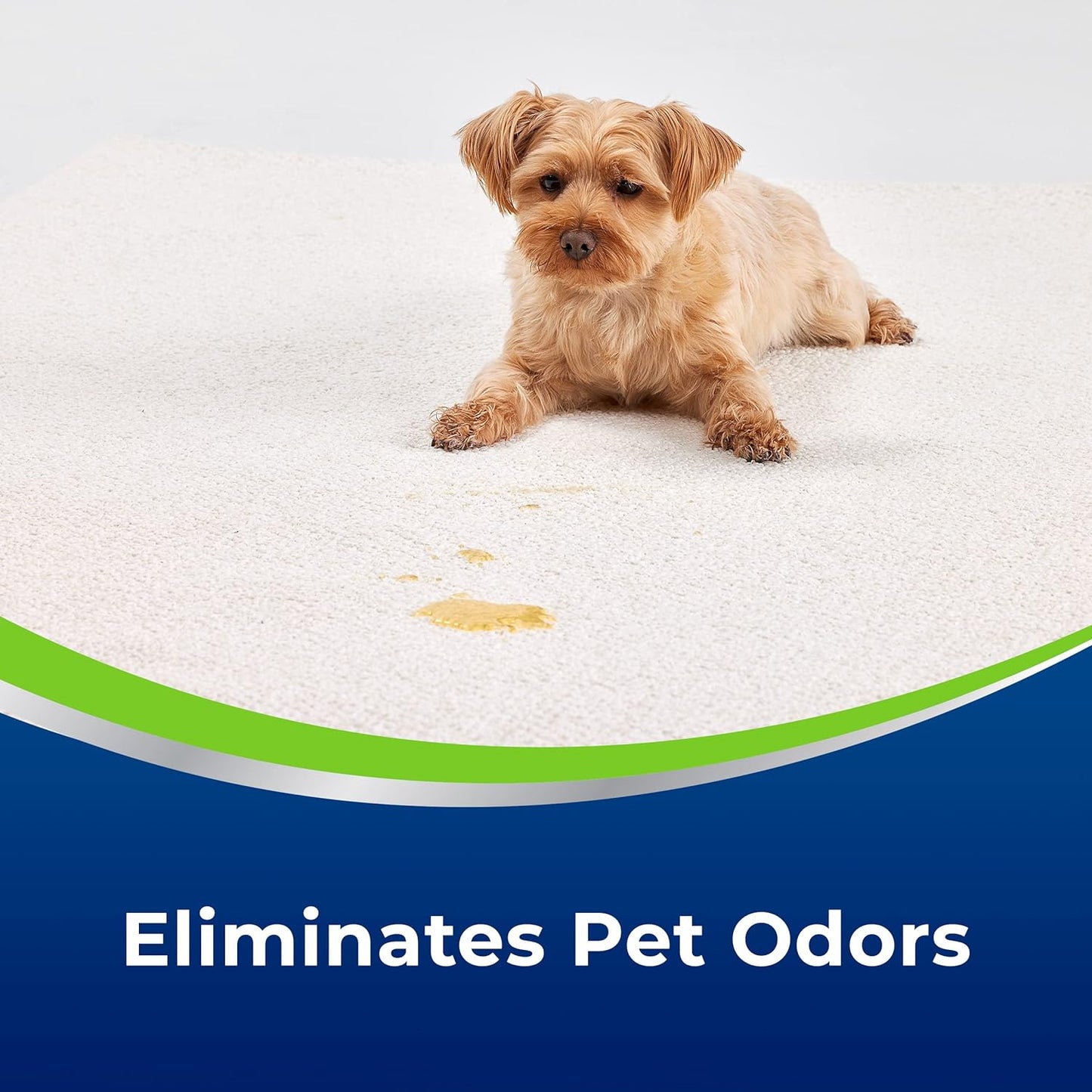 Bissell Woolite® Advantage Pet Stain & Odor Remover + Sanitize, 3327