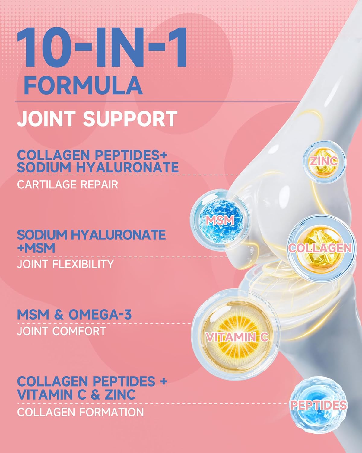 Dog Mushroom Drops + Dog Collagen Drops | Organic Mushroom Supplement & Liquid Collagen for Cats | Supports Joint, Immune, Skin & Coat Health | Roast Chicken Flavor | for All Ages