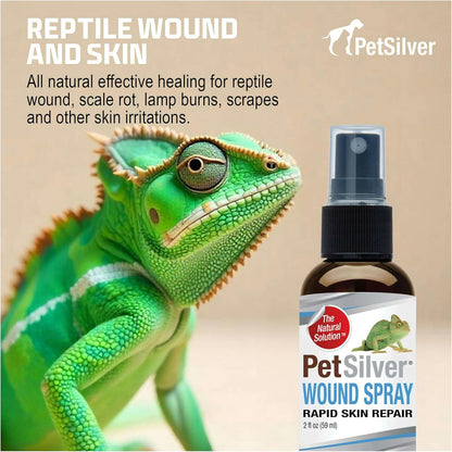PetSilver Reptile Wound Spray with Chelated Silver – Reptile Wound Care for Snakes, Lizards, Geckos – Burns, Sores, Irritations & Scale Rot Treatment – Non-Toxic & Safe – Made in USA – 2 fl oz