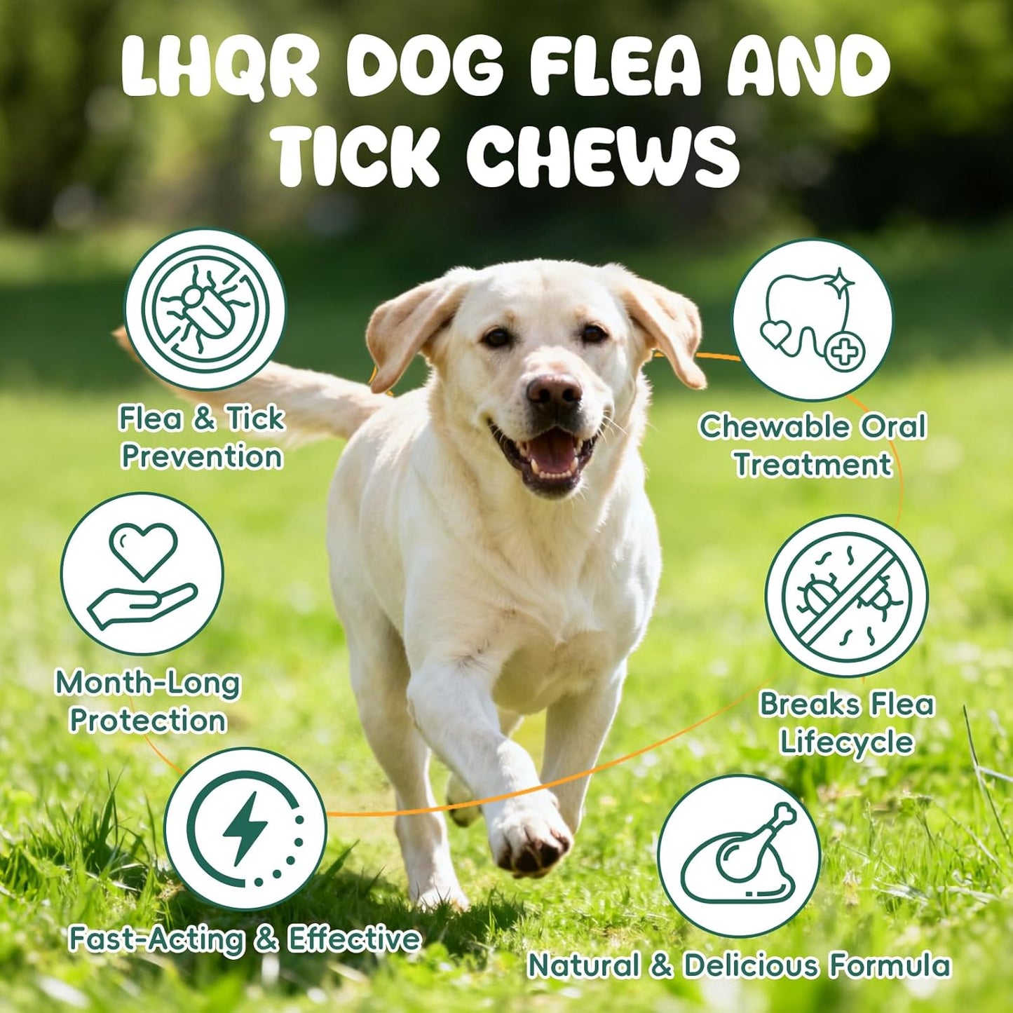 Flea and Tick Prevention for Dogs Chewable, Natural Oral Flea and Tick Treatment, Dog Flea Chews Support Skin & Digestive Supplement for Puppies & All Breeds 200 PCS
