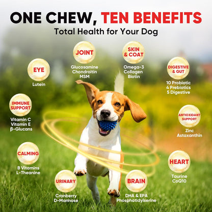 Dog Multivitamin Soft Chews – 10-in-1 Complete Wellness for Joints, Skin & Digestion