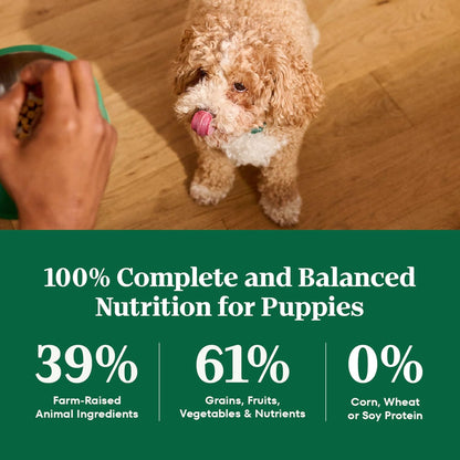 Nutro Natural Choice Puppy Food Dry, Lamb & Brown Rice Recipe, 12 lb. Bag