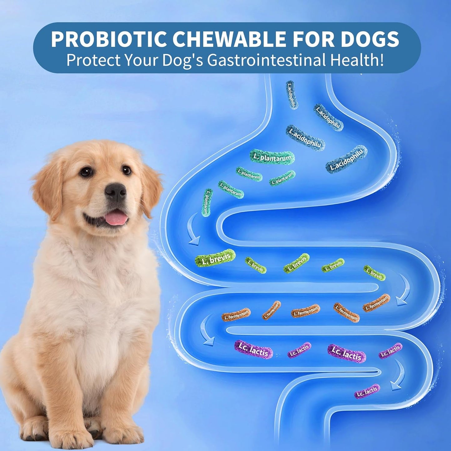 Probiotics for Dogs 200 Chews, Improve Itchy Skin Itchy Ears, Gut Health, Yeast Balance, Allergies, Immunity, Puppy Probiotic Soft Chews Reduce Diarrhea Stomach Relief (Pork)