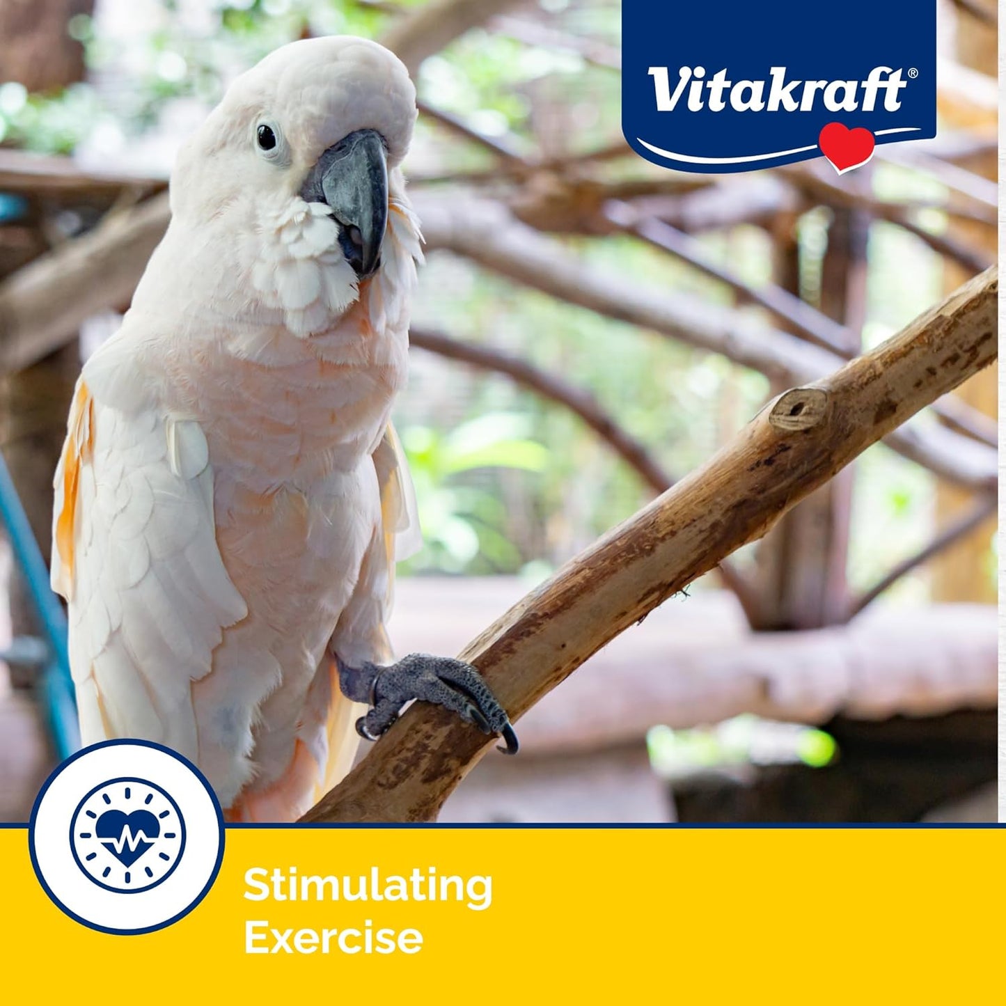 Vitakraft Crunch Sticks for Parrots Apricot and Cherry Flavor Natural Wood Chew Center With Clip Holder Long Lasting Treats For Parakeets Conures Cockatiels And Parrots - 5.5 oz 2 sticks