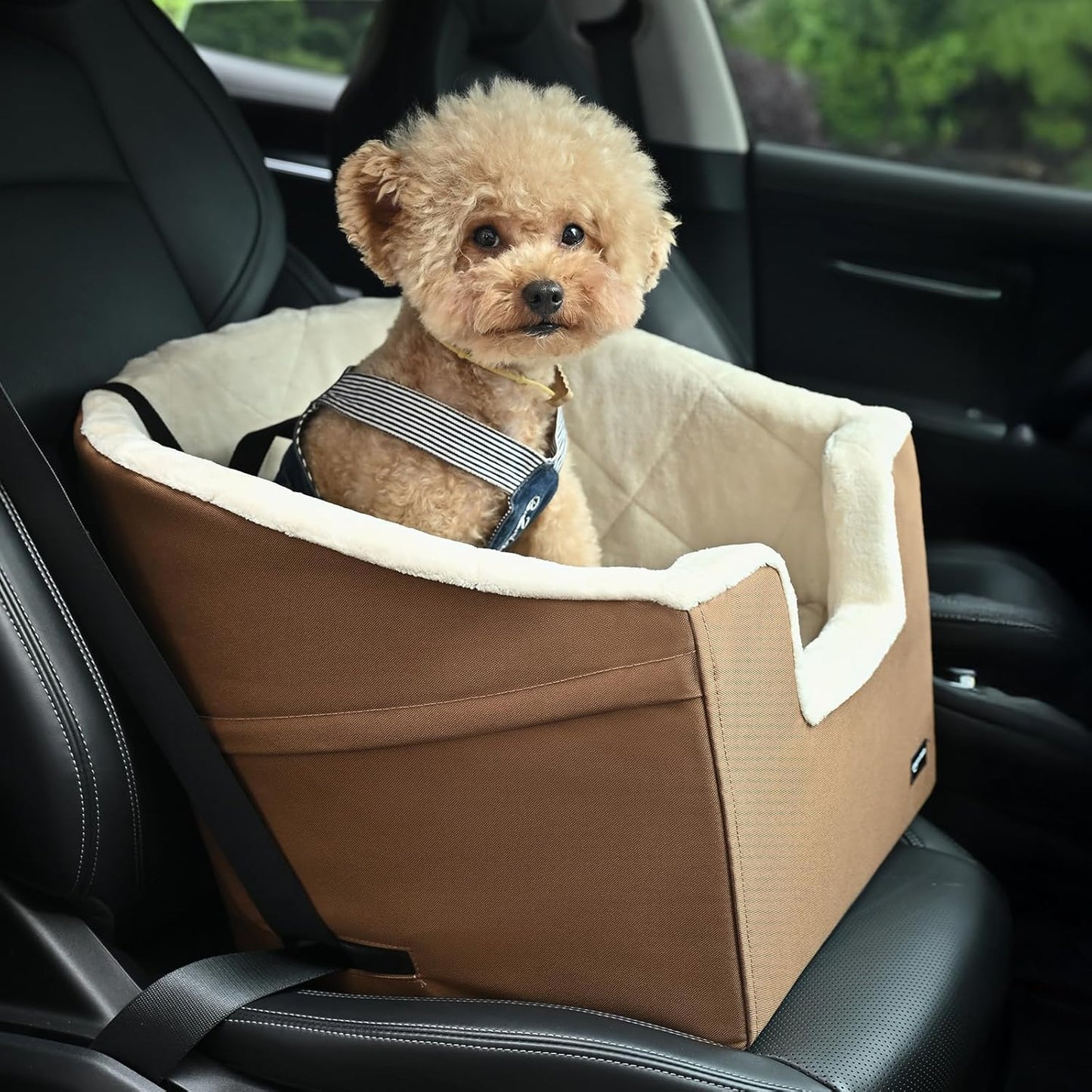 Amazon Basics Pet Car Booster Bucket Seat for Small Pets up to 25lbs, Machine Washable Cover, Clip-On Safety Leash, 18" x 18" x 16", Tan