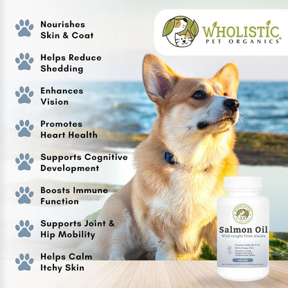 Wholistic Pet Organics Wild Alaskan Salmon Oil for Dogs - 100 Soft Gels - Rich Omega 3 Fish Oil with EPA & DHA for Skin, Coat, Joint, and Heart Health - Natural Dog Skin & Coat Care