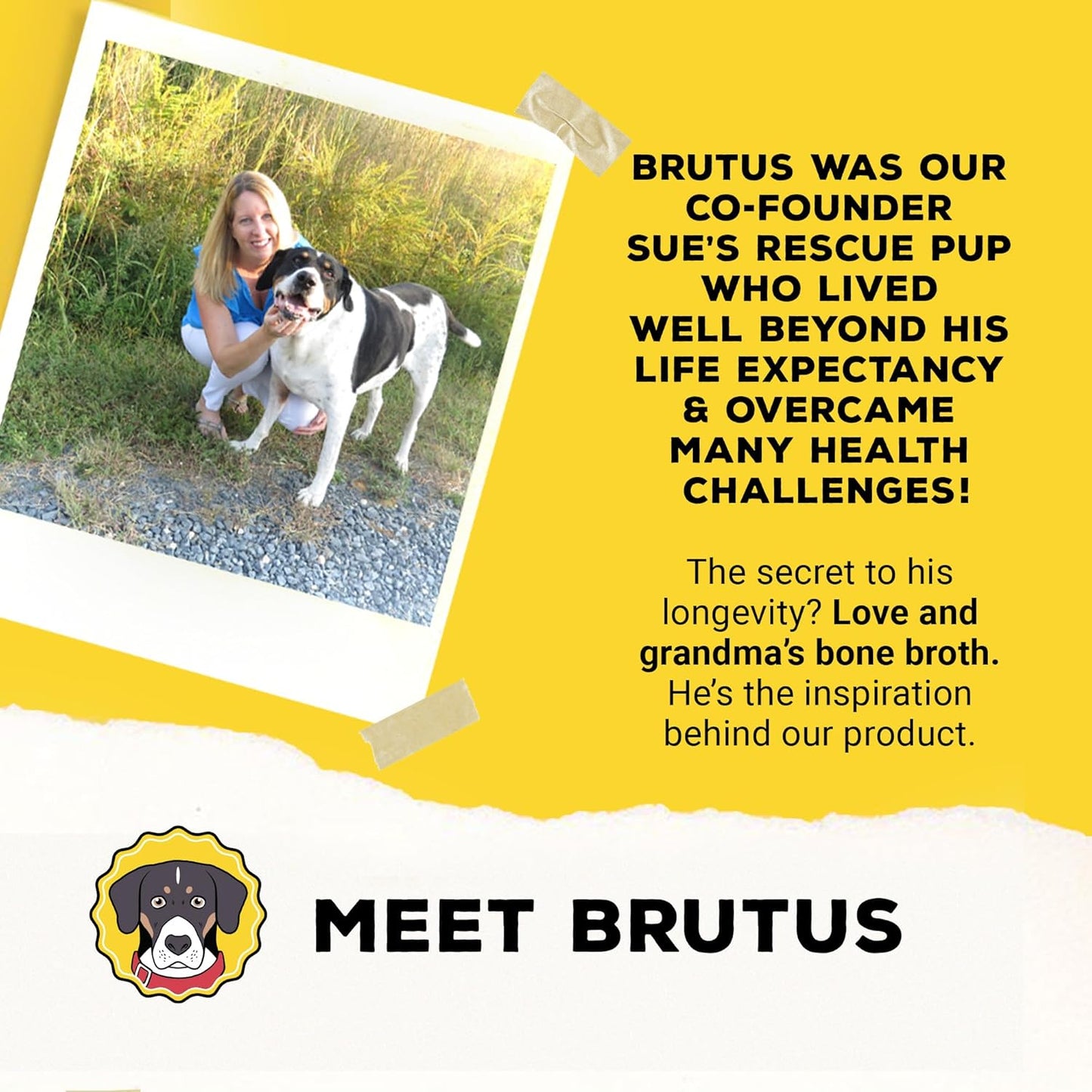 Brutus Beef Bone Broth for Dogs - All Natural Dog Bone Broth with Chondroitin Glucosamine & Turmeric -Human Grade Dog Food Toppers for Picky Eaters & Dry Food -Tasty & Nutritious