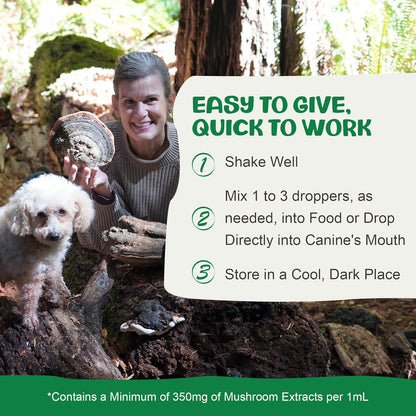 MycoDog Digest - Digestive Support Mushroom Supplement for Dogs - Holistic Gut Support - Adaptogens & Functional Mushrooms for Microbiome Balance, Probiotic Alternative