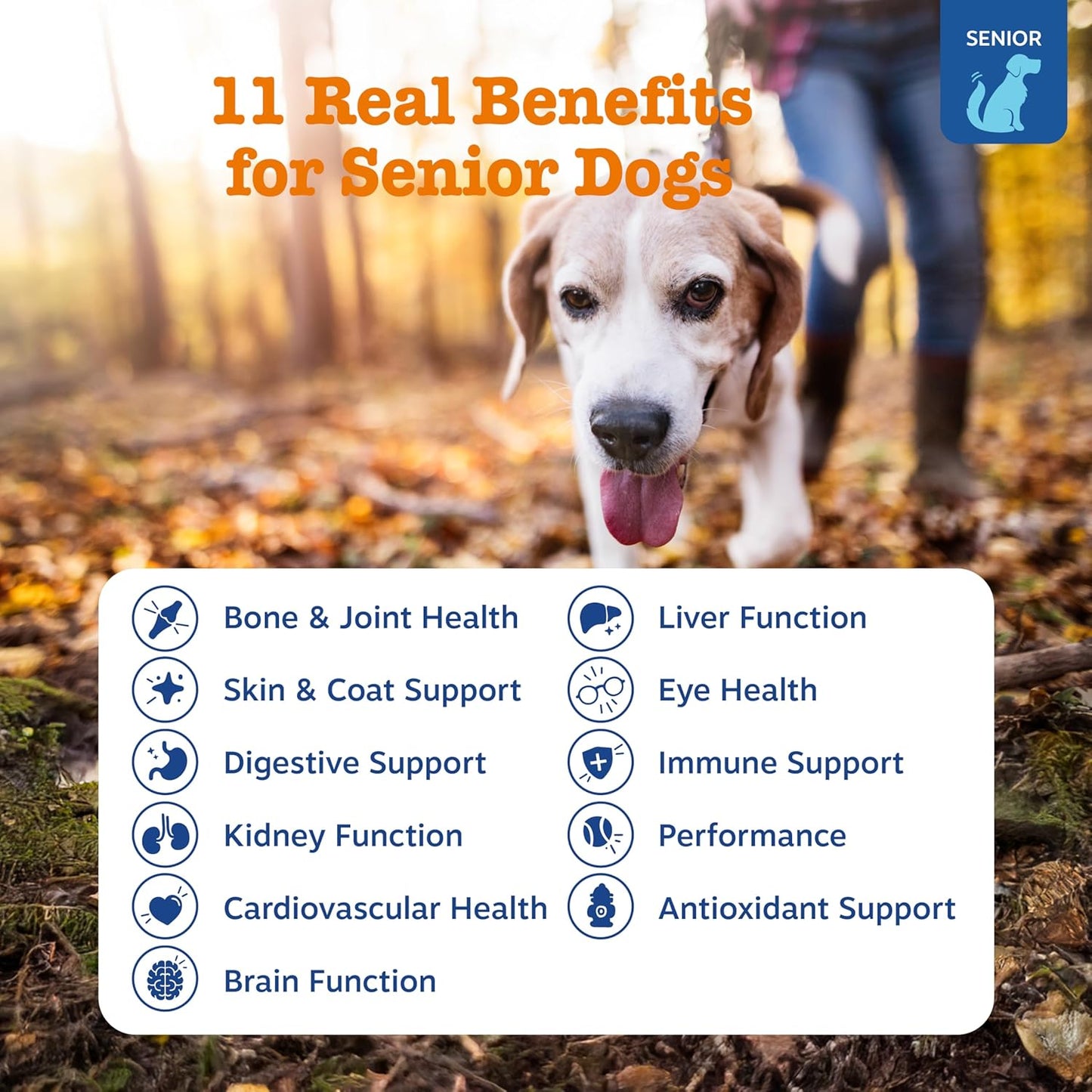 Zesty Paws Senior Dog Multivitamin Treats - Glucosamine for Dogs + Digestive Enzymes & Probiotics - Grain Free Dog Vitamins and Supplements for Skin & Coat + Immune Health Beef - Advanced - 90ct