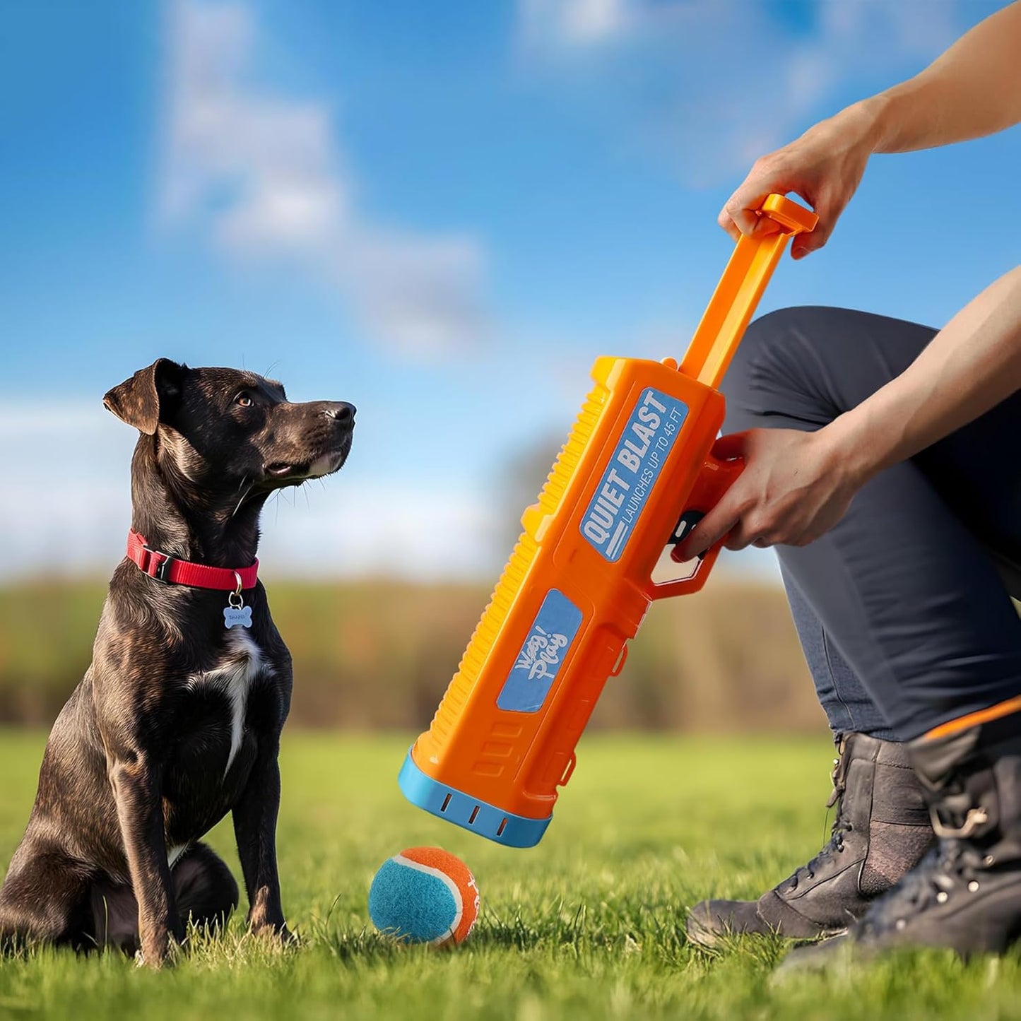 Quiet Blast Automatic Ball Launcher for Dogs, Orange and Blue, Outdoor Interactive Fetch Toy