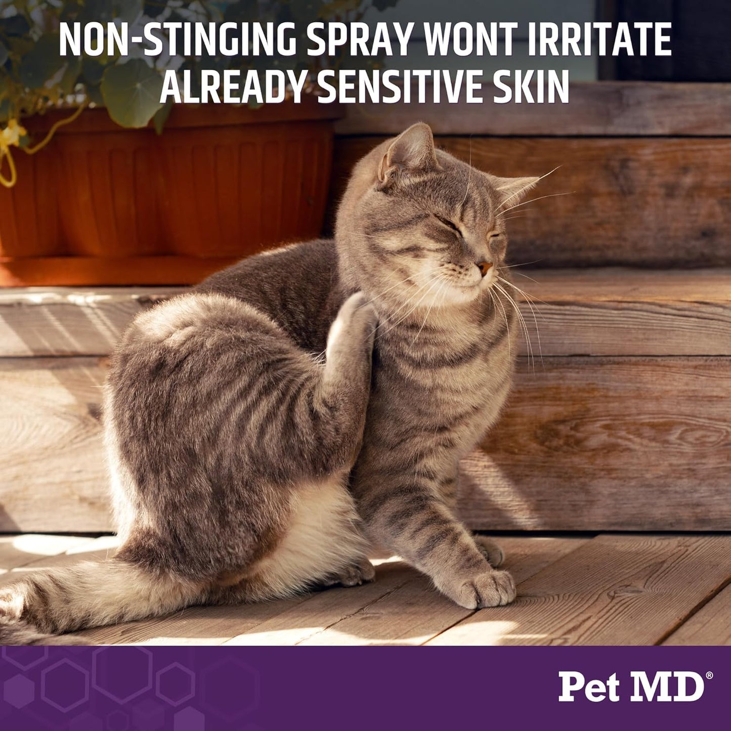 Pet MD All-in-One Derm Care - Hypochlorous Acid Spray for Dogs & All Pets - Skin Soother for Dogs & Wound Spray for Dogs - Cat Wound Care, Dog Hot Spot Remedy, & Dog Itch Relief - 8oz