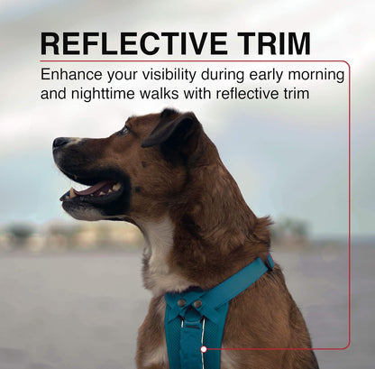 Voyager Freestyle 4-in-1 Dog Harness - Patent Pending Adjustable Webbing Harness with Removable Padding for Small to Large Dogs by Best Pet Supplies - Turquoise, XS