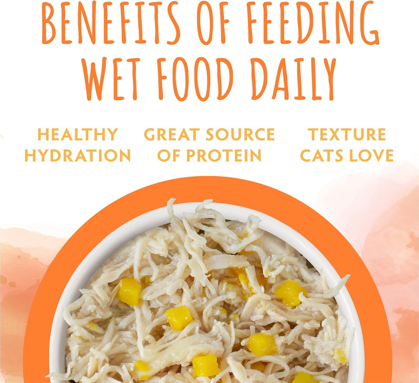 Soulistic Originals, Harvest Sunrise Chicken and Pumpkin Dinner in Gravy, 5.5oz Can, Pack of 8