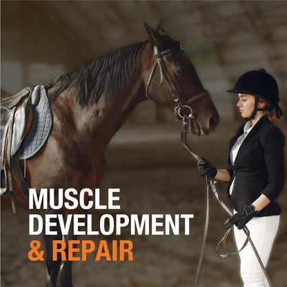 New! APOLO'S 100% Natural Horse Supplement for Daily Feeding – Joint Support, Coat Shine & Strength | Flaxseed, Quinoa, Chia | Turmeric and Black Pepper | 10 LB Bag