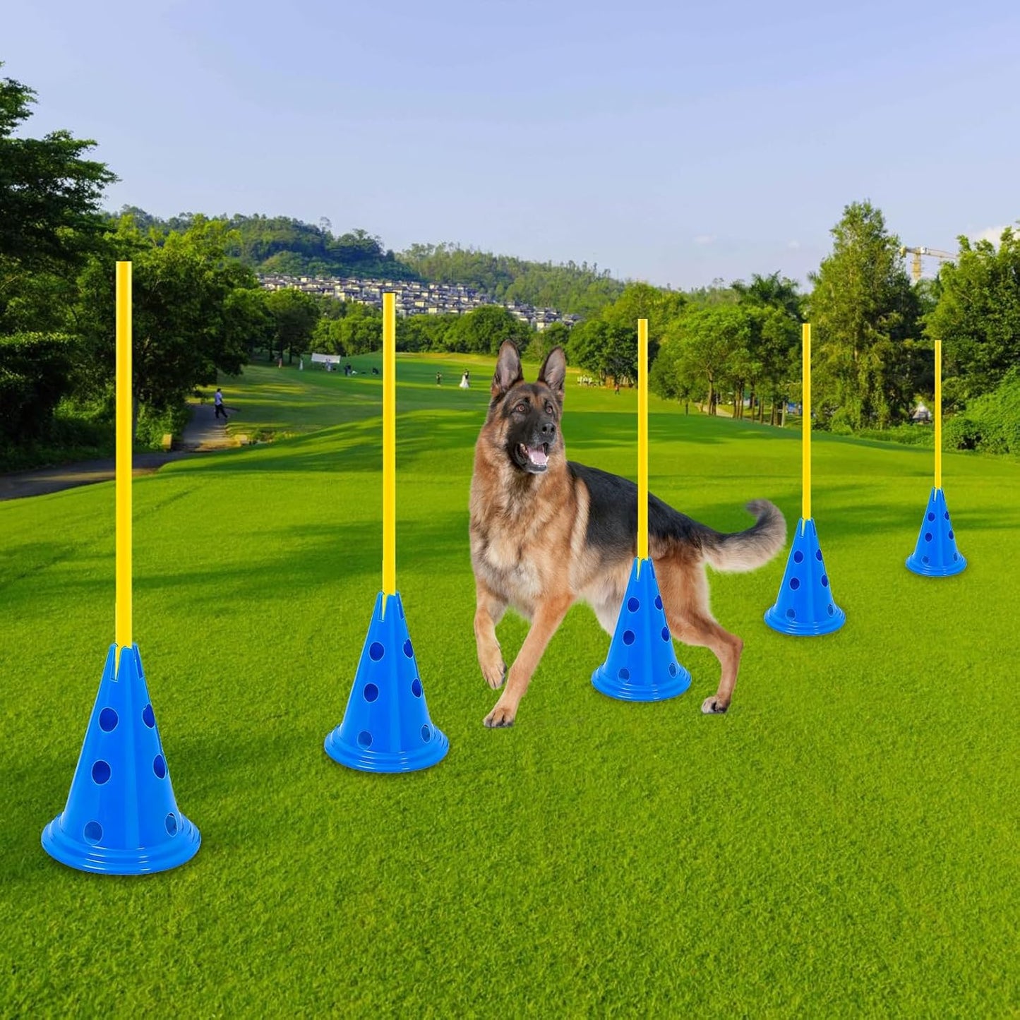 Dog Agility Hurdle Cone Set Dog Agility Course Backyard Set Include 12 Agility Cones 6 Agility Rods Agility Training Equipment Height Adjustable Obstacle with Storage Bag Blue